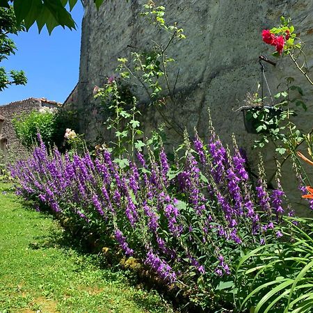 The Cool Lounge A Coulonges - Charente Bed & Breakfast Ngoại thất bức ảnh