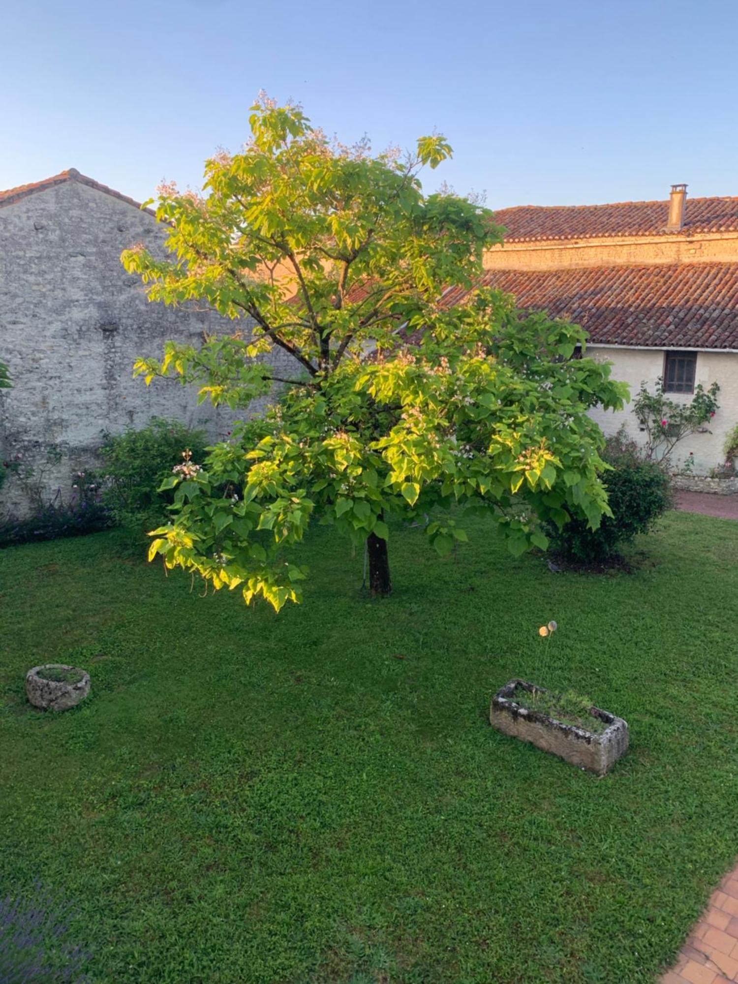 The Cool Lounge A Coulonges - Charente Bed & Breakfast Ngoại thất bức ảnh