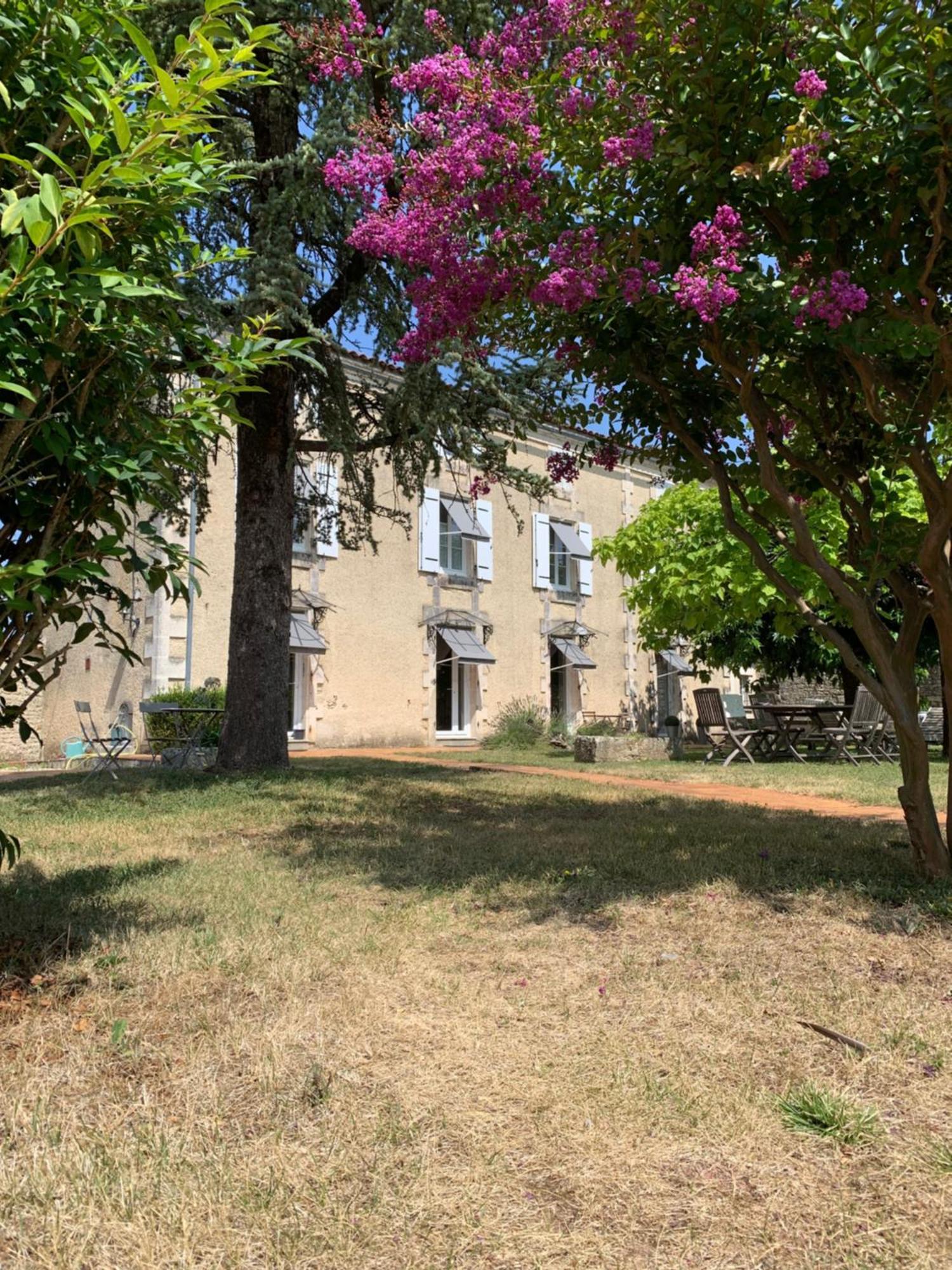 The Cool Lounge A Coulonges - Charente Bed & Breakfast Ngoại thất bức ảnh