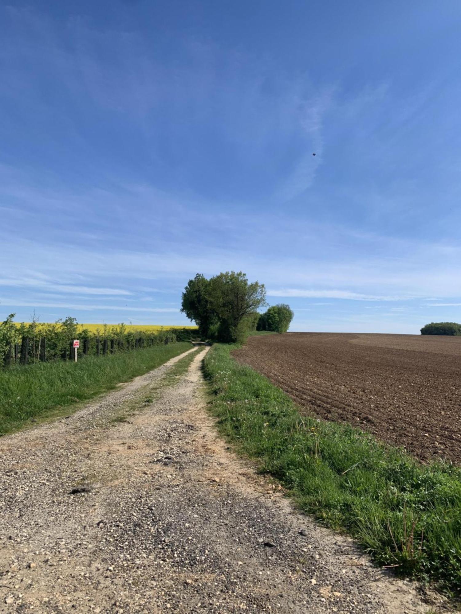 The Cool Lounge A Coulonges - Charente Bed & Breakfast Ngoại thất bức ảnh
