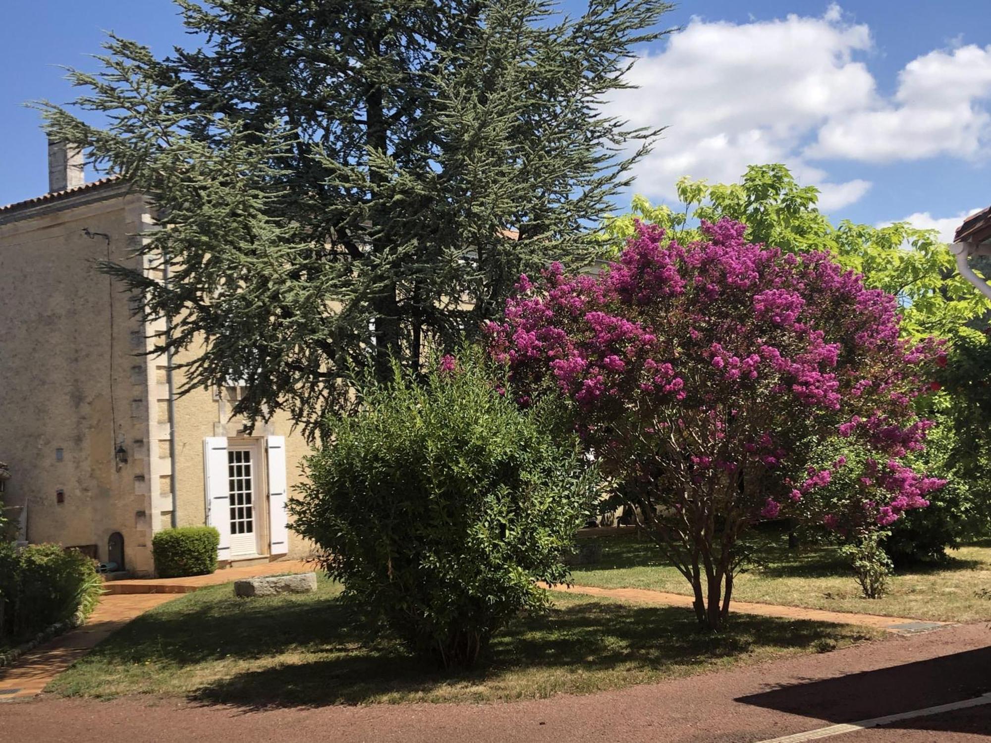 The Cool Lounge A Coulonges - Charente Bed & Breakfast Ngoại thất bức ảnh
